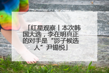 红星观察丨本次韩国大选，李在明真正的对手是“影子候选人”尹锡悦