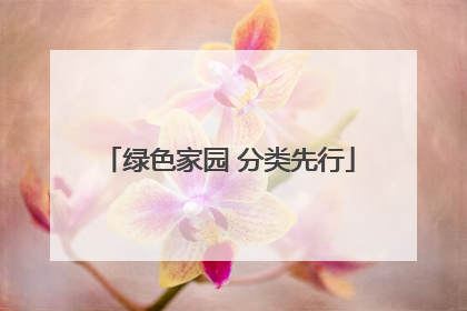 绿色家园 分类先行