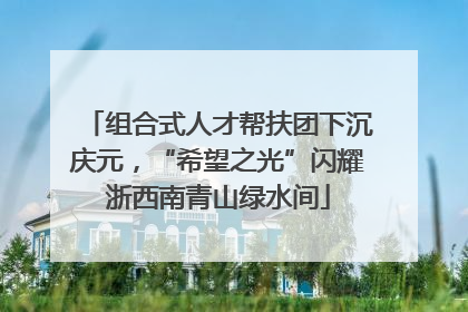 组合式人才帮扶团下沉庆元，“希望之光”闪耀浙西南青山绿水间