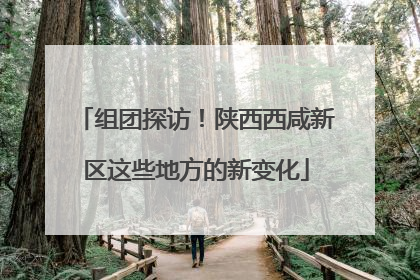 组团探访！陕西西咸新区这些地方的新变化