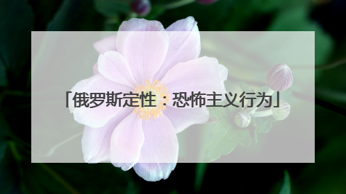 俄罗斯定性：恐怖主义行为