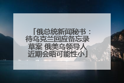 俄总统新闻秘书：待乌克兰回应备忘录草案 俄美乌领导人近期会晤可能性小