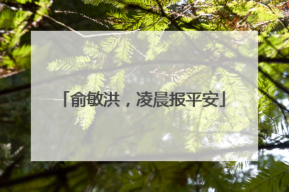 俞敏洪，凌晨报平安