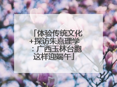 体验传统文化+探访朱熹理学：广西玉林台胞这样迎端午