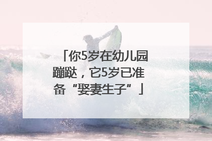 你5岁在幼儿园蹦跶，它5岁已准备“娶妻生子”