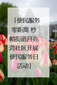 便民服务零距离 纱帽街道月亮湾社区开展便民服务日活动