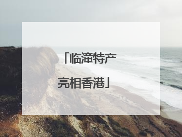 临潼特产亮相香港