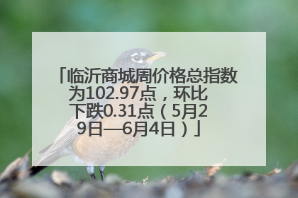 临沂商城周价格总指数为102.97点，环比下跌0.31点（5月29日—6月4日）