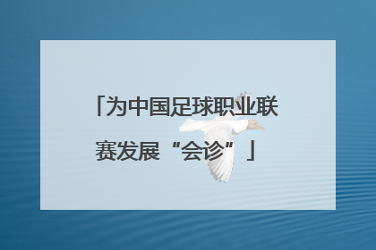 为中国足球职业联赛发展“会诊”