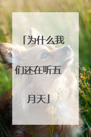 为什么我们还在听五月天