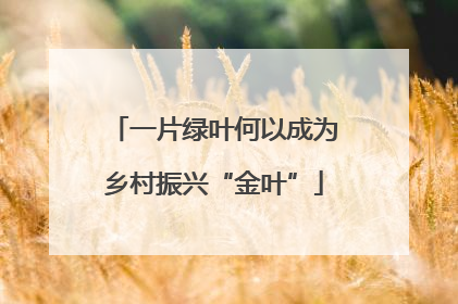 一片绿叶何以成为乡村振兴“金叶”