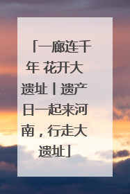一廊连千年 花开大遗址丨遗产日一起来河南，行走大遗址