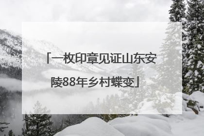 一枚印章见证山东安陵88年乡村蝶变