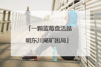 一颗蓝莓盘活昆明东川尾矿困局