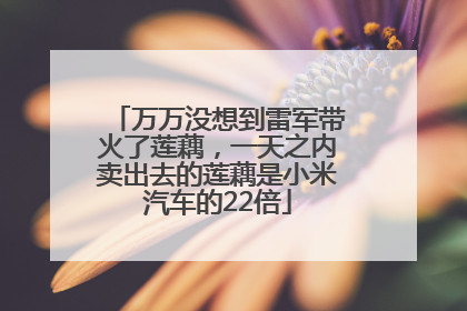 万万没想到雷军带火了莲藕，一天之内卖出去的莲藕是小米汽车的22倍