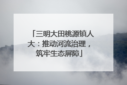 三明大田桃源镇人大：推动河流治理，筑牢生态屏障