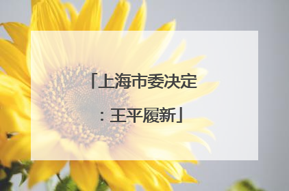 上海市委决定：王平履新