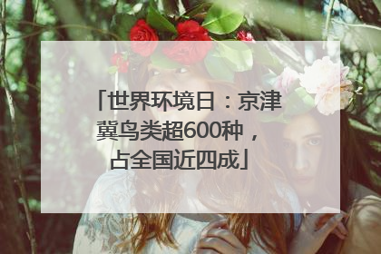 世界环境日：京津冀鸟类超600种，占全国近四成