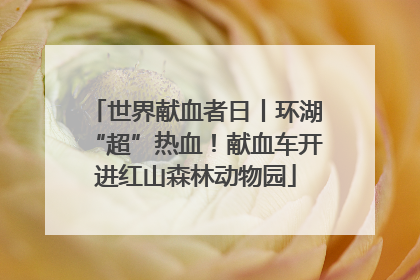 世界献血者日丨环湖“超”热血！献血车开进红山森林动物园