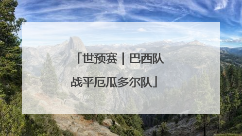 世预赛｜巴西队战平厄瓜多尔队