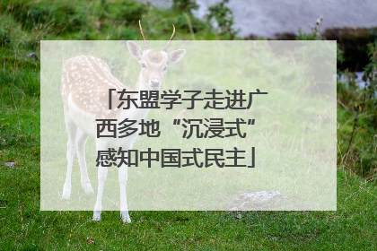 东盟学子走进广西多地“沉浸式”感知中国式民主