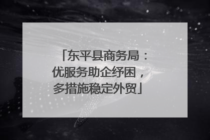 东平县商务局：优服务助企纾困，多措施稳定外贸