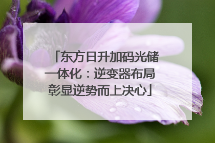 东方日升加码光储一体化：逆变器布局彰显逆势而上决心