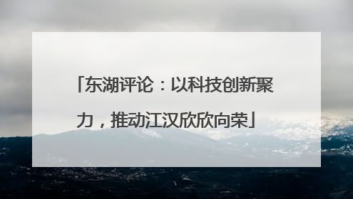东湖评论：以科技创新聚力，推动江汉欣欣向荣