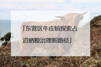 东营区牛庄镇探索占道晒粮治理新路径