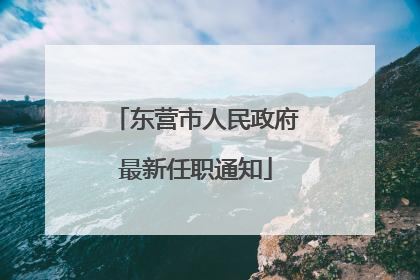 东营市人民政府最新任职通知