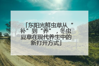 东阳光鲜虫草从“补”到“养”，冬虫夏草在现代养生中的新打开方式
