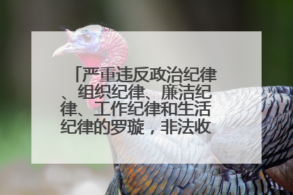 严重违反政治纪律、组织纪律、廉洁纪律、工作纪律和生活纪律的罗璇，非法收受他人巨额财物