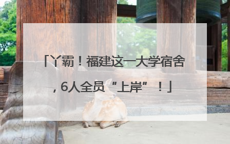 丫霸！福建这一大学宿舍，6人全员“上岸”！