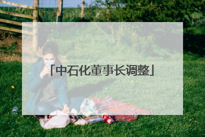 中石化董事长调整