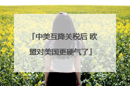 中美互降关税后 欧盟对美国更硬气了