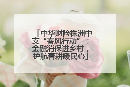 中华财险株洲中支“春风行动”：金融消保进乡村，护航春耕暖民心