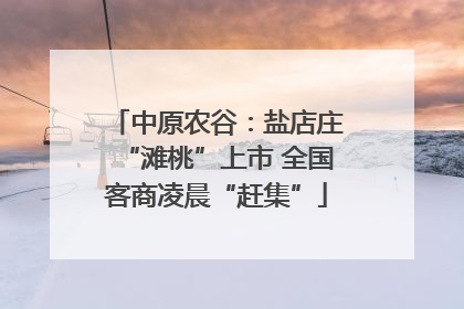 中原农谷：盐店庄“滩桃”上市 全国客商凌晨“赶集”