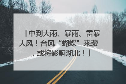 中到大雨、暴雨、雷暴大风！台风“蝴蝶”来袭，或将影响湖北！