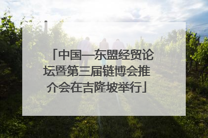 中国—东盟经贸论坛暨第三届链博会推介会在吉隆坡举行