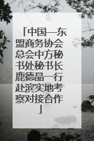 中国—东盟商务协会总会中方秘书处秘书长鹿德晶一行赴滨实地考察对接合作
