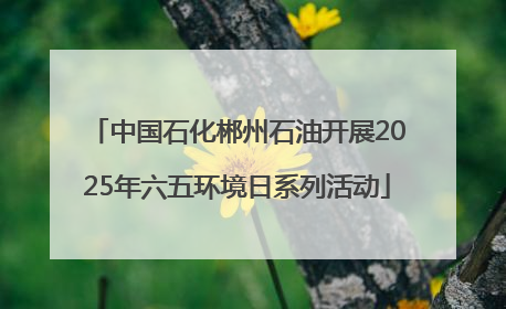 中国石化郴州石油开展2025年六五环境日系列活动