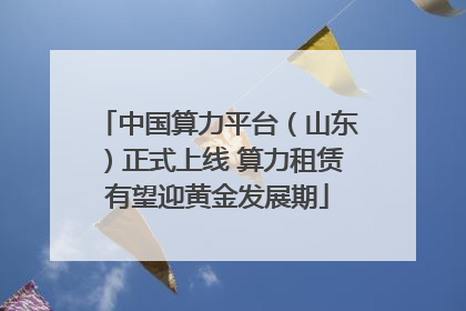 中国算力平台（山东）正式上线 算力租赁有望迎黄金发展期