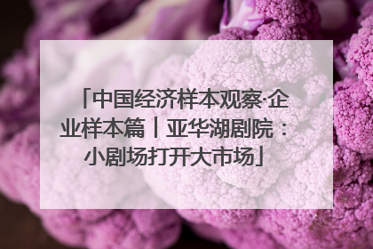 中国经济样本观察·企业样本篇︱亚华湖剧院：小剧场打开大市场