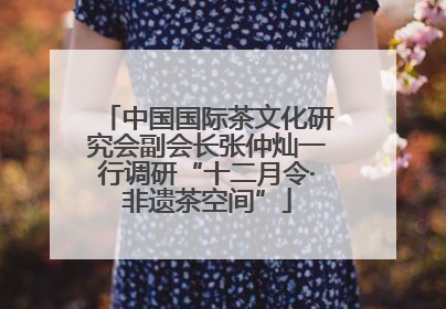 中国国际茶文化研究会副会长张仲灿一行调研“十二月令·非遗茶空间”