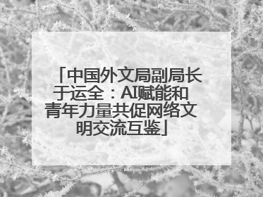 中国外文局副局长于运全：AI赋能和青年力量共促网络文明交流互鉴