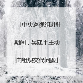 中央巡视组进驻期间，吴建平主动向组织交代问题