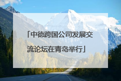 中德跨国公司发展交流论坛在青岛举行