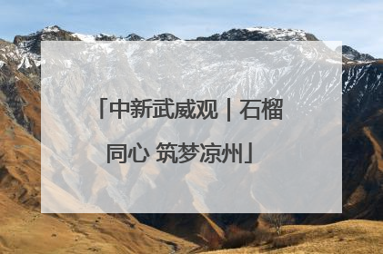 中新武威观｜石榴同心 筑梦凉州