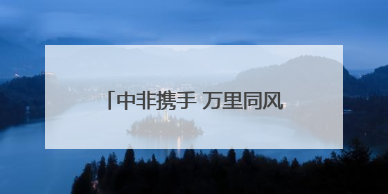 中非携手 万里同风——写在第四届中非经贸博览会开幕之际