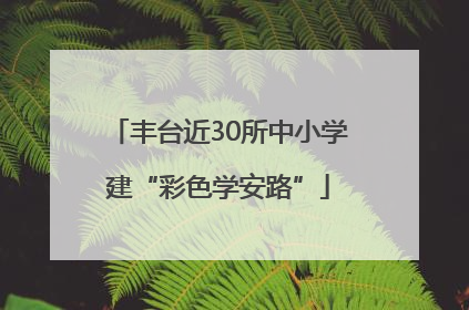 丰台近30所中小学建“彩色学安路”